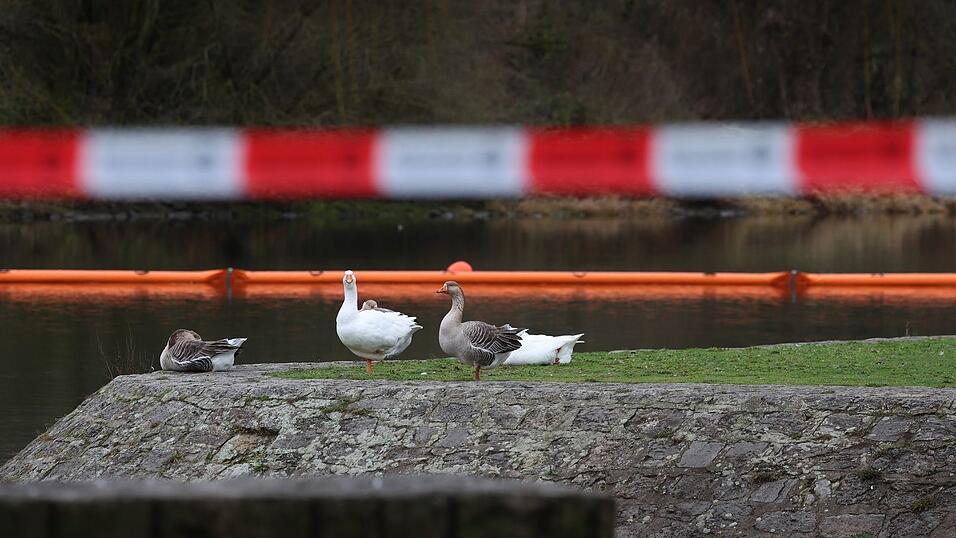 Mit Ölsperren wurde die Verbreitung des Dieselkraftstoffs im Main verhindert. Mit Ölsperren wurde die Verbreitung des Dieselkraftstoffs im Main verhindert.
