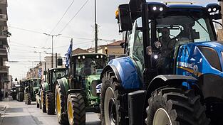 Betrug mit Agrarsubventionen: Nicht nur Landwirte stehen im Fokus der Ermittler. (Archivbild)