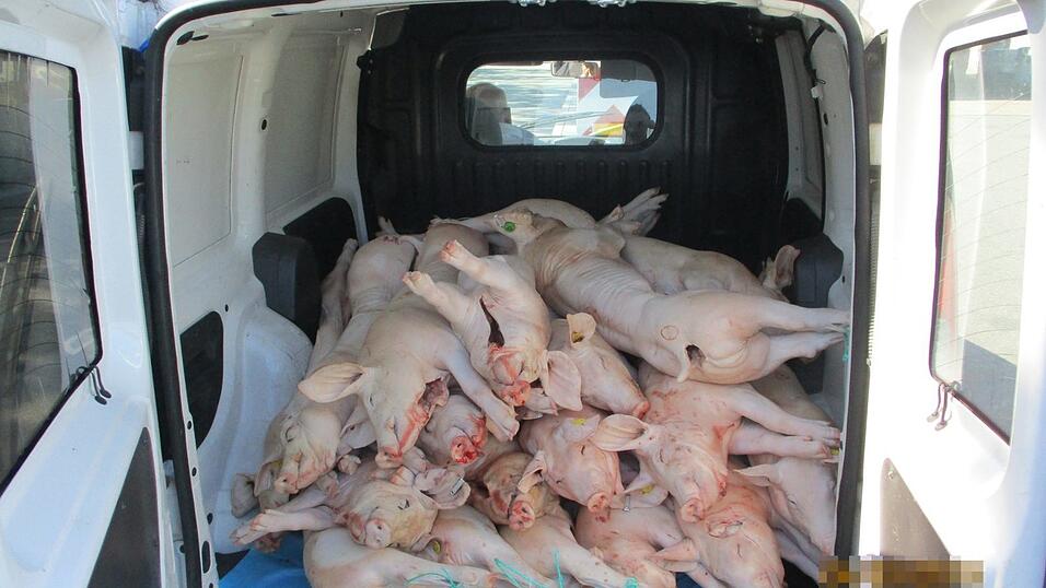 Die Fracht war zum Zeitpunkt, als sie kontrolliert wurde, bereits &uuml;ber 1.000 Kilometer quer durch Deutschland unterwegs.