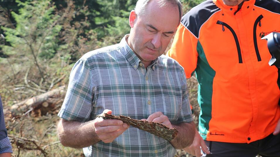 Auch die befallene Rinde eines Baumes durfte Aiwanger betrachten. Auch die befallene Rinde eines Baumes durfte Aiwanger betrachten.