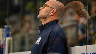 Zum Nachdenken gebracht haben die beide Niederlagen zum DEL-Auftakt natürlich Craig Woodcroft, den Trainer der Straubing Tigers. Zum Nachdenken gebracht haben die beide Niederlagen zum DEL-Auftakt natürlich Craig Woodcroft, den Trainer der Straubing Tigers.