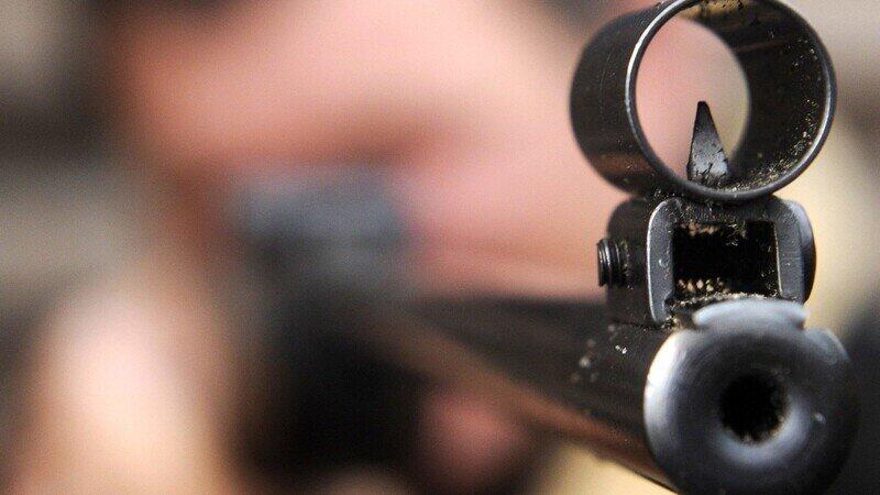 Einer oder mehrere Unbekannte haben mit einem Luftgewehr auf Tauben geschossen. (Symbolbild)