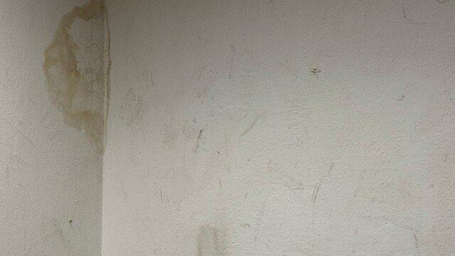 Auch in anderen R&auml;umen wurden Flecken entdeckt, hei&szlig;t es aus der Schulfamilie.