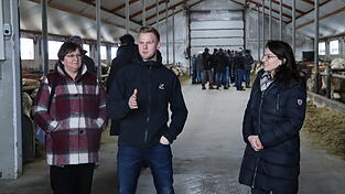 In diesem Stall leben die &auml;ltesten Bullen. Mindestens zweimal am Tag kontrolliert Thomas Solleder (Mitte) jedes Tier auf Verletzungen. Erst mit vier Bullen k&ouml;nne er den Ausfall von einem Tier kompensieren, sagt er.