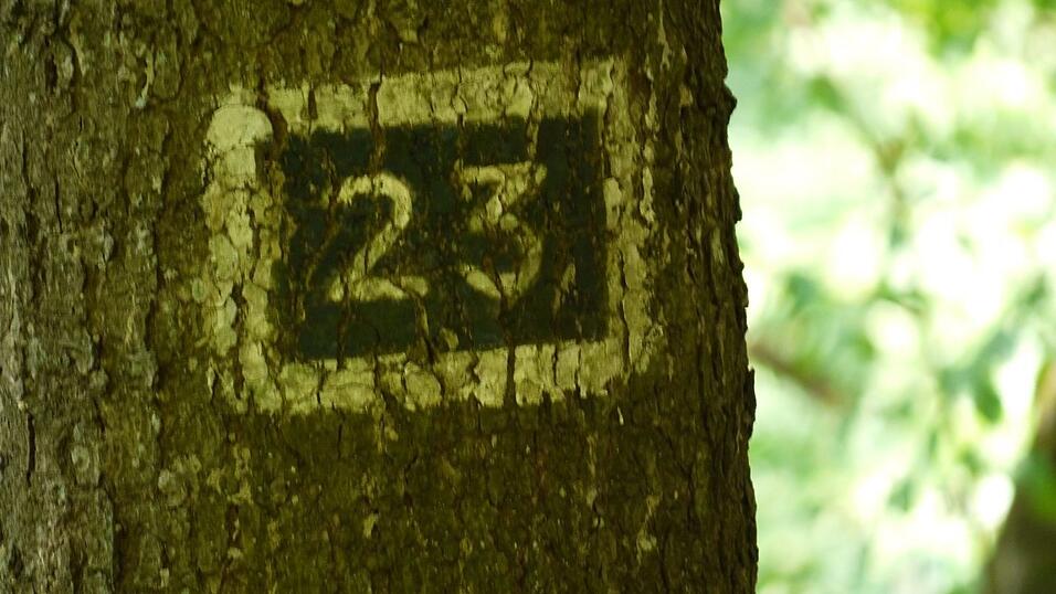 Wunderschönes Ausflugsziel in Passau: die Halser Ilzschleifen. Wunderschönes Ausflugsziel in Passau: die Halser Ilzschleifen.