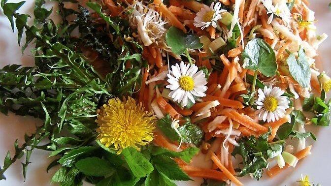 Wintergemüsesalat mit Kräutern Wintergemüsesalat mit Kräutern