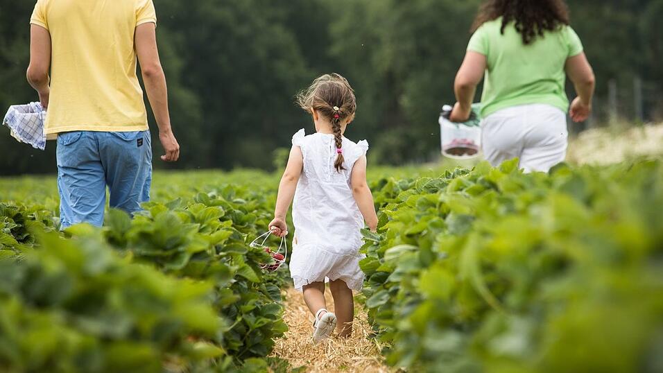 Kinder freuen sich, wenn sie einen eigenen Erntekorb haben. Kinder freuen sich, wenn sie einen eigenen Erntekorb haben.