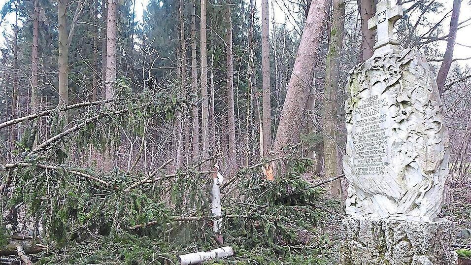 Das beschädigte Birkenkreuz.