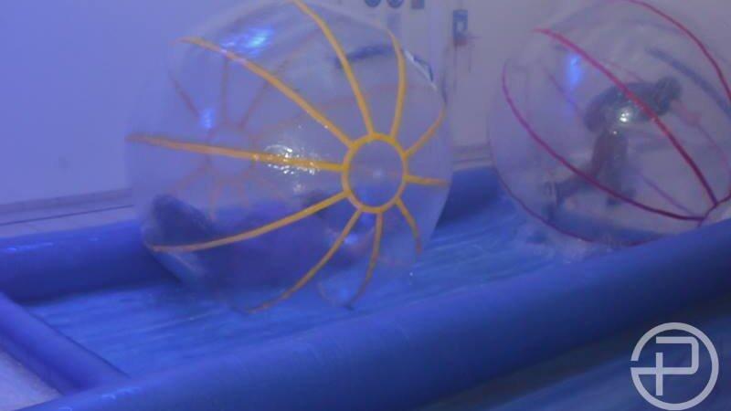 Gleich bei der Eröffnung platzte die neue Diskothek Peggy P. aus allen Nähten. Gleich bei der Eröffnung platzte die neue Diskothek Peggy P. aus allen Nähten.