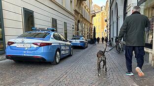 Südtirol will künftig von Hundehaltern eine Art Kurtaxe für ihre Vierbeiner verlangen. (Symbolbild)