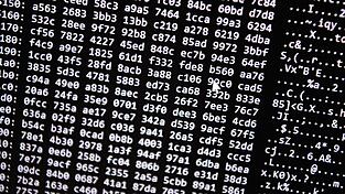 Neue Tools erm&ouml;glichten einen Schlag gegen ein Betrugs-Netzwerk im Darknet. (Symbolbild)