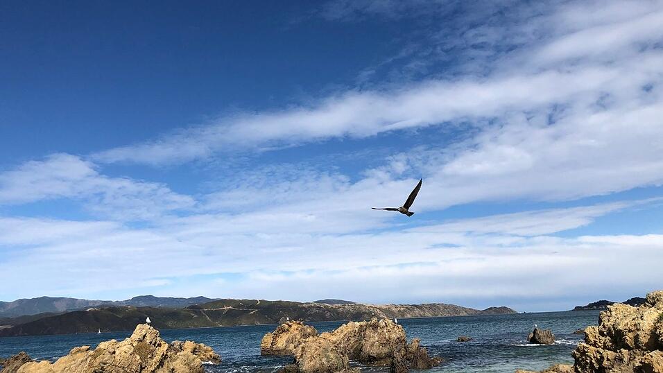 Eindrücke von Alexandras Zeit in Neuseeland.