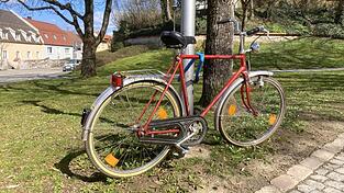 Das Herrenrad steht auf der Grünanlage am Kinseherberg - offenbar schon seit Monaten. Das Herrenrad steht auf der Grünanlage am Kinseherberg - offenbar schon seit Monaten.