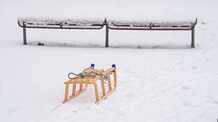 Händler melden eine deutlich höhere Nachfrage nach Produkten wie Schlitten. (Symbolbild) Händler melden eine deutlich höhere Nachfrage nach Produkten wie Schlitten. (Symbolbild)