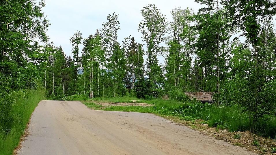 Die Stra&szlig;en- und Geb&auml;udereste des ehemaligen Munitionsdepots der Bundeswehr: Das Areal soll Teil des neuen Polizeizentrums werden.