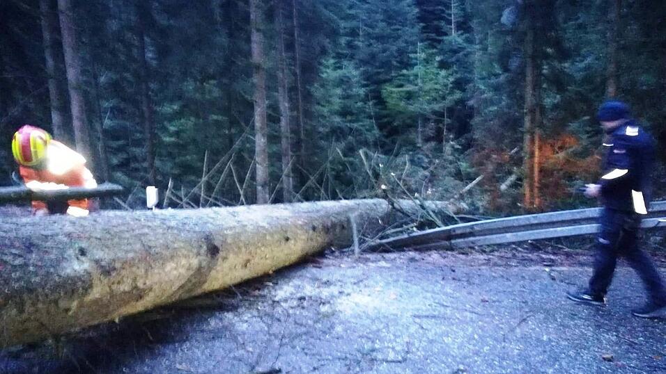 Wie ein Streichholz hat der Sturm diesen mächtigen Baum über die SR 13 gelegt.