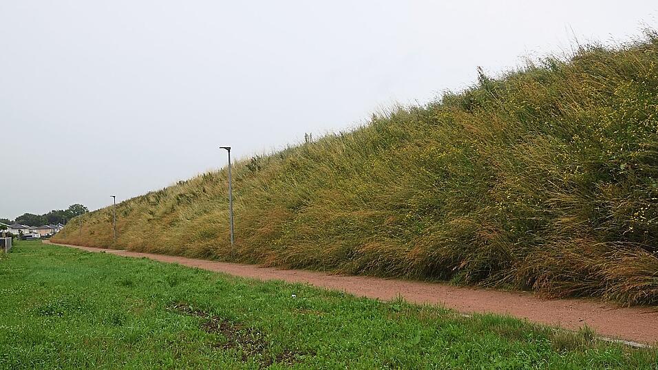 Das Baugebiet Ennser Stra&szlig;e II ist auf beiden Seiten abgeschirmt. An der Staatsstra&szlig;e 2074 erhebt sich ein Wall ebenso wie an der Bahnlinie (unser Bild). Bei neuen Baugebieten sind solche L&auml;rmschutzma&szlig;nahmen vorgeschrieben. W&uuml;rden W&auml;lle an bereits bestehenden Gebieten errichtet, w&auml;re diese eine freiwillige Leistung der Kommune.