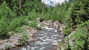 Mount Rainier, der schlafende Eisriese. Mount Rainier, der schlafende Eisriese.