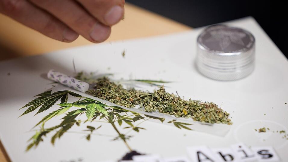 Seit 1. Juli können Erwachsene in nicht-kommerziellen «Anbauvereinigungen» Cannabis gemeinsam anbauen und untereinander zum Eigenkonsum abgeben. Zuvor müssen sie allerdings eine Erlaubnis beantragen.