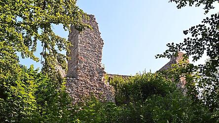 Wer k&ouml;nnte sich nicht vorstellen, dass auf der Burgruine Schw&auml;rzenberg Dornr&ouml;schen auf ihren Prinzen wartet?