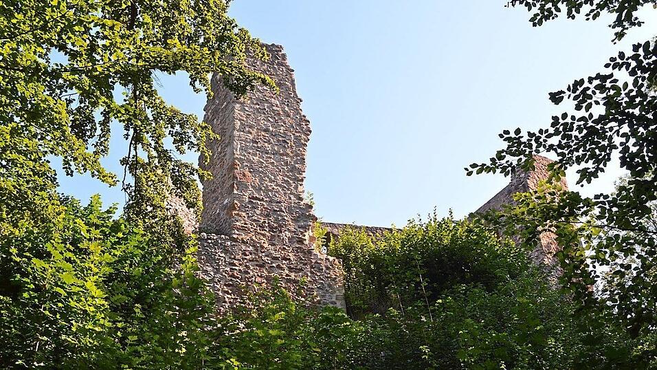 Wer k&ouml;nnte sich nicht vorstellen, dass auf der Burgruine Schw&auml;rzenberg Dornr&ouml;schen auf ihren Prinzen wartet?