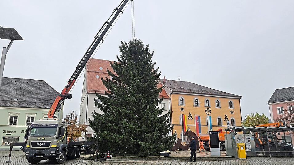 Mit großer Sorgfalt wurde die Fichte aufgestellt.
