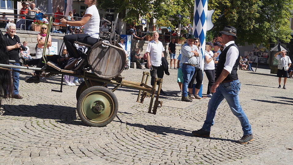 Das war der 35. Bad K&ouml;tztinger Rosstag: Bilder vom Festumzug.