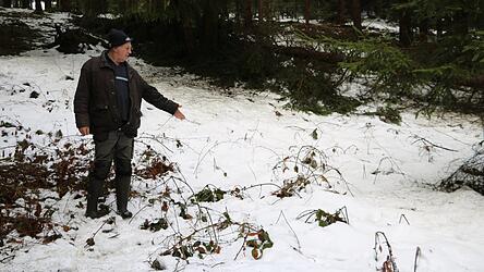 Josef Eidenschink deutet auf die Stelle, an der die unterirdische Quelle f&uuml;r die Trinkwasserversorgung seines Anwesens in Meinstorf liegt. Sie ist von Wald umgeben, muss aber nach neuestem Recht regelm&auml;&szlig;ig auf Pflanzenschutzmittel untersucht werden.
