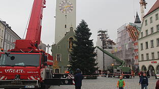 Das Werk ist vollendet: Der Christbaum steht fest verankert am Ludwigsplatz. Das Werk ist vollendet: Der Christbaum steht fest verankert am Ludwigsplatz.