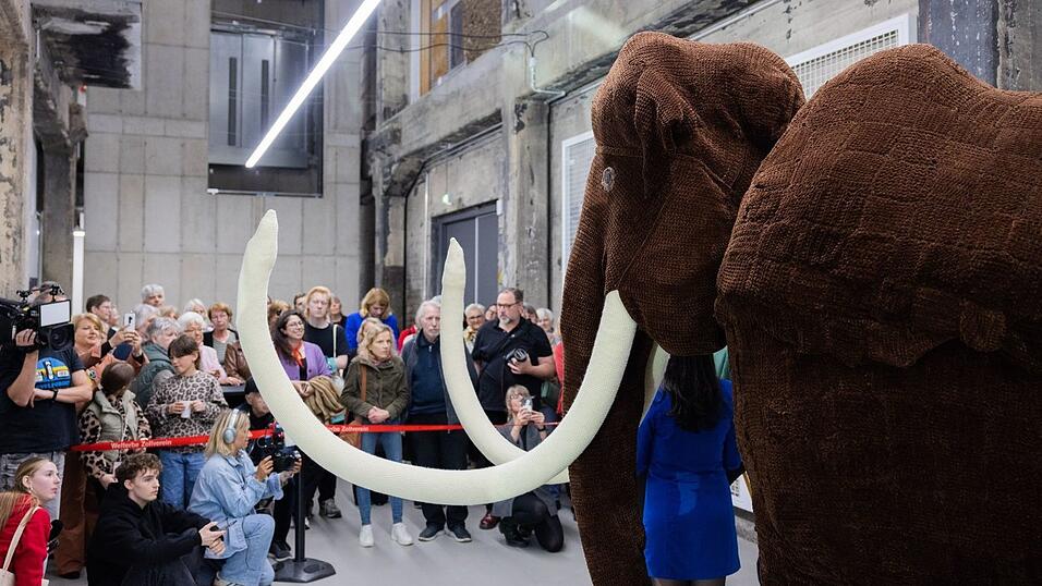 Das Mega-Mammut ist fertig.