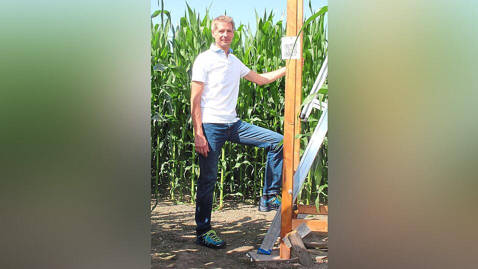 Hiendlmeier im neuem 'iMais'-Irrgarten. Wenn die Teilnehmer die QR-Codes scannen, gibt es Arbeitsaufgaben.