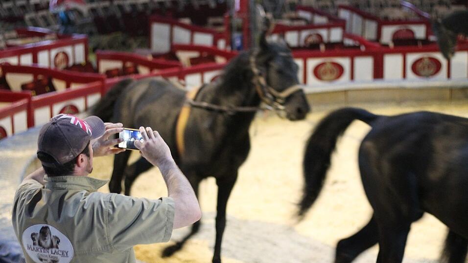 Martin Lacey filmt die Zirkuspferde bei der Probe in der Manege. Martin Lacey filmt die Zirkuspferde bei der Probe in der Manege.