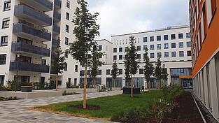 Auch wenn der Neubau in Regensburg langsam wieder Fahrt aufnimmt: Es reicht bei Weitem nicht.