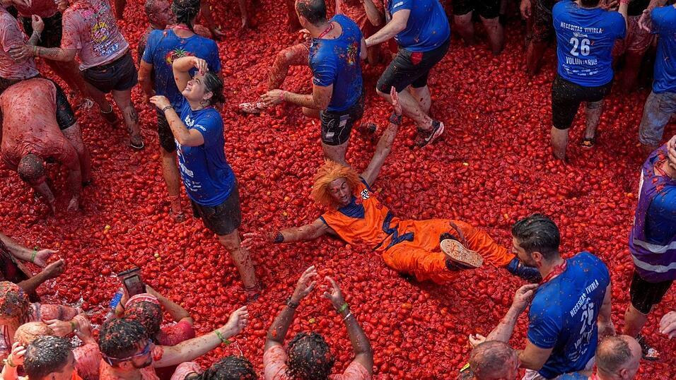 Für die bis zu 22.000 Teilnehmer, die teilweise sogar aus Japan, den USA oder Australien anreisen, war die Tomatenschlacht wieder eine Riesengaudi. Für die bis zu 22.000 Teilnehmer, die teilweise sogar aus Japan, den USA oder Australien anreisen, war die Tomatenschlacht wieder eine Riesengaudi.