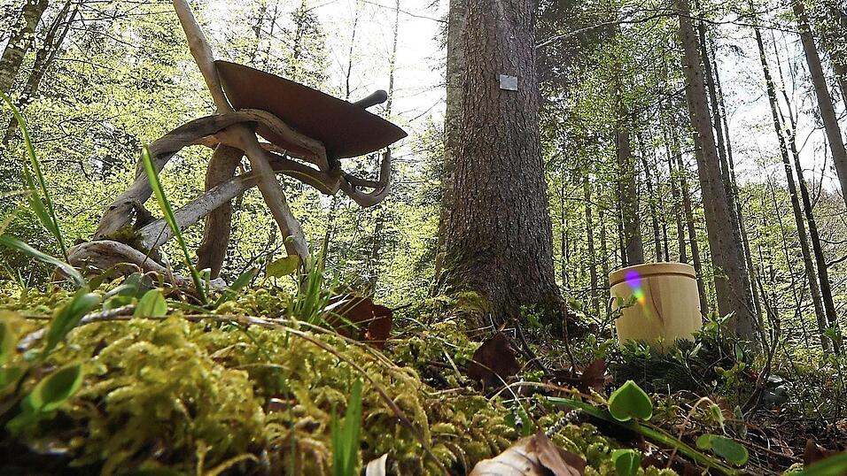 Die Urnen werden an Baumgr&auml;bern am Fu&szlig; eines ausgew&auml;hlten Baumstammes beigesetzt.