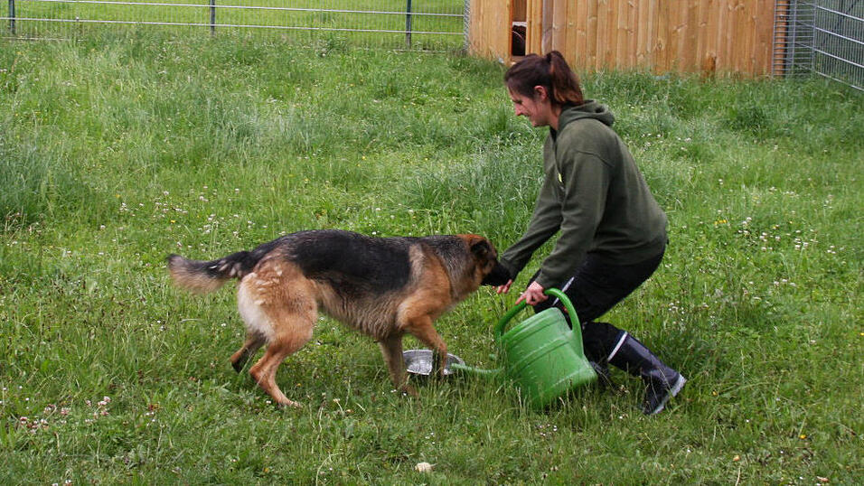 Das Personal kümmert sich liebevoll nicht nur um Hunde und Katzen. Das Personal kümmert sich liebevoll nicht nur um Hunde und Katzen.