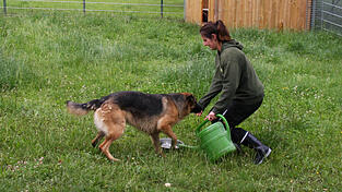 Das Personal k&uuml;mmert sich liebevoll nicht nur um Hunde und Katzen.