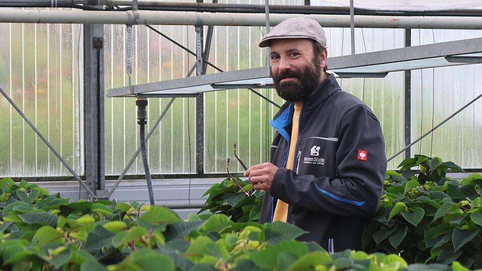 Beim Umgang mit dem Cannabis-Gesetz vermisst Alfred Stuiber vor allem in Bayern Fingerspitzengefühl und Verhältnismäßigkeit. Für den Besitz von mehr als drei Pflanzen, die eigentlich Stecklinge waren, wurde er vor dem Amtsgericht Cham rechtskräftig verurteilt.