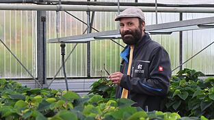 Beim Umgang mit dem Cannabis-Gesetz vermisst Alfred Stuiber vor allem in Bayern Fingerspitzengefühl und Verhältnismäßigkeit. Für den Besitz von mehr als drei Pflanzen, die eigentlich Stecklinge waren, wurde er vor dem Amtsgericht Cham rechtskräftig verurteilt.