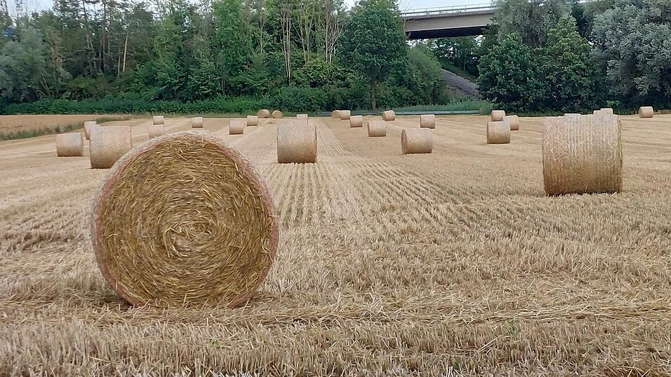 Dieses Feld bei Pfettrach ist bereits abgeerntet. Dieses Feld bei Pfettrach ist bereits abgeerntet.