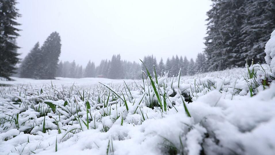 In höheren Lagen ist noch einmal Neuschnee gefallen. Und es bleibt weiter kühl. In höheren Lagen ist noch einmal Neuschnee gefallen. Und es bleibt weiter kühl.
