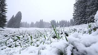 In h&ouml;heren Lagen ist noch einmal Neuschnee gefallen. Und es bleibt weiter k&uuml;hl.
