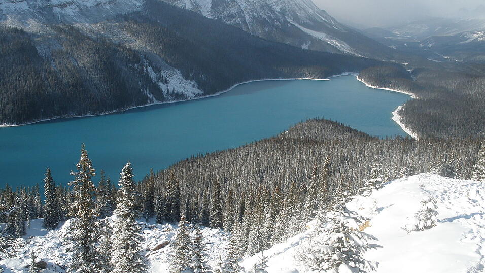 Der Peyto Lake