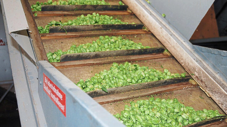 Mengenmäßige und strukturelle Anpassungen werden sich beim grünen Gold nicht vermeiden lassen. Mengenmäßige und strukturelle Anpassungen werden sich beim grünen Gold nicht vermeiden lassen.