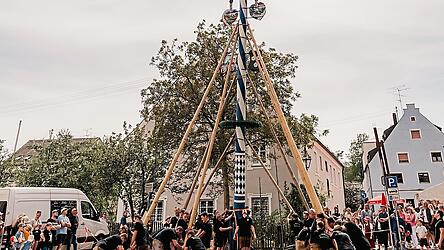 Mit Irxenschmalz wird der Maibaum in die H&ouml;he gestemmt.