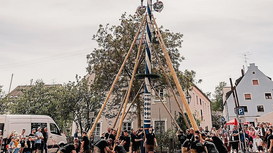 Mit Irxenschmalz wird der Maibaum in die H&ouml;he gestemmt.
