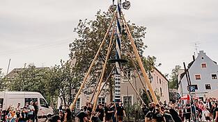 Mit Irxenschmalz wird der Maibaum in die H&ouml;he gestemmt.
