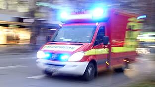 Der Rettungsdienst brachte den verletzten Fahrer in ein Krankenhaus. (Symbolbild)