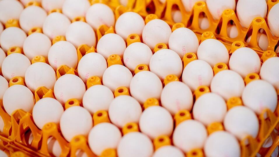 Die Gro&szlig;handelspreise f&uuml;r Eier steigen - beim Verbraucher kommt das aber vorerst nicht an. (Symbolfoto)