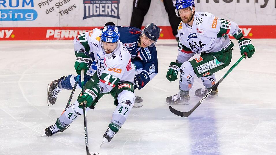 Die Straubing Tigers haben die Augsburger Panther mit 3:1 besiegt. Die Straubing Tigers haben die Augsburger Panther mit 3:1 besiegt.